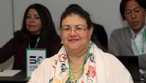 Neuropsychiatry 2025